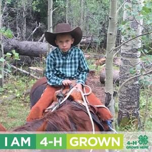 Meet your Posher, Teddi